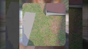 1000063673.mp4 (Собака смотрит на устройство приточно-вытяжной вентиляции на кровле дома А-фрейм)