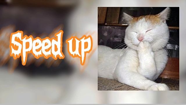 ~Белый день - Соловушка {speed up}~💕🎧 смотреть онлайн