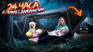 24 ЧАСА В ГАМАКЕ-ДОМИКЕ С КОТОМ И СОБАКОЙ И ДАМПЛИНГАМИ |  НАШЛИ ЗОЛОТОЙ ПЕЛЬМЕНЬ!