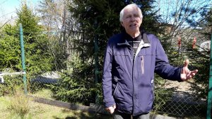 Василий Тёркин. О награде. Твардовский Александр Трифонович