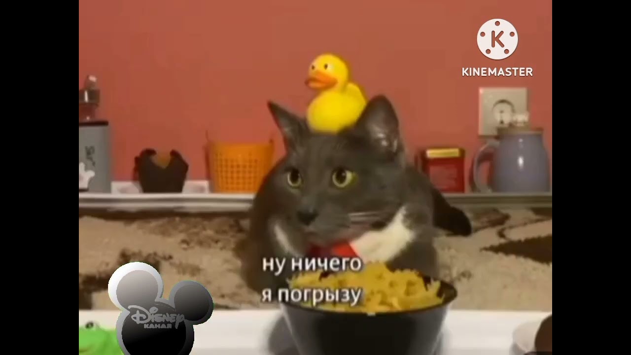 переходим 16:9 Disney канал (13.02.2023) 12:00 смотреть онлайн