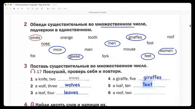 Видеоурок Plural nouns exceptions (исключения множественного числа существительных) смотреть онлайн