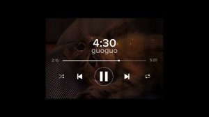 песня:я дрочу в 4:30