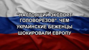 «Настоящий экспорт головорезов». Чем украинские беженцы шокировали Европу
