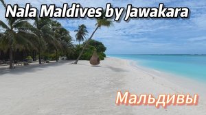 Обзор резорта 12+ Nala Maldives by Jawakara