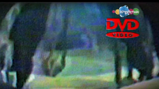 DVD-perexvat_karusel2014