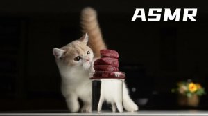 АСМР Ман Канджи попробовал страусиновый бургер АСМР