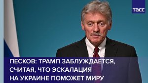 Песков: Трамп заблуждается, считая, что эскалация на Украине поможет миру