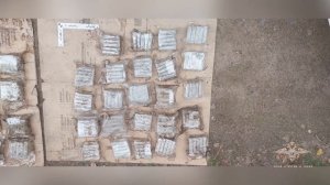 В Ленобласти полицейские пресекли деятельность наркокурьеров, маскировавшихся под дорожных рабочих
