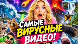 Худший момент из возможных!