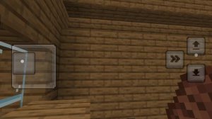 показываю дом в minecraft