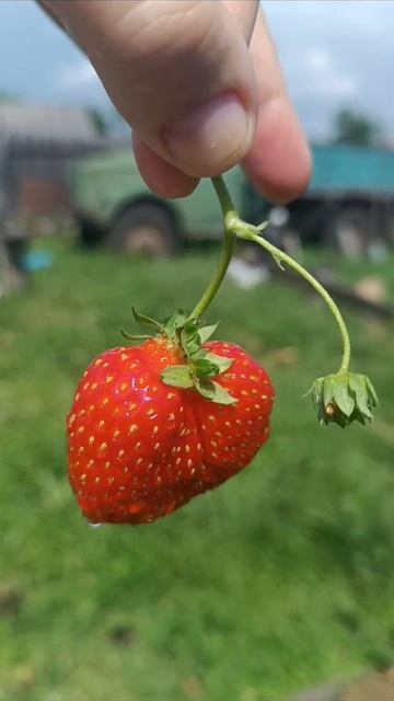 Красотка 🍓