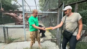 Олег Зубков пытается разбудить и накормить Манюню, а Марик весь на нервах❤️