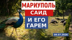 МАРИУПОЛЬ САИД И ЕГО ГАРЕМ живут в Восточном жмр. 09.07.2026