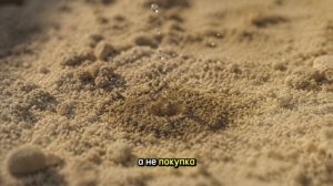 СТОИТ ЛИ СТАВИТЬ КАПЕЛЬНЫЙ ПОЛИВ? Честный разбор за 20 минут