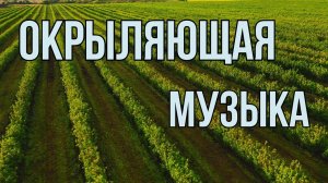 ОКРЫЛЯЮЩАЯ музыка // Музыка для медитации // JustBe
