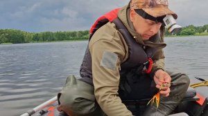 Рыбалка на Волге Ловлю Сома на Квок.