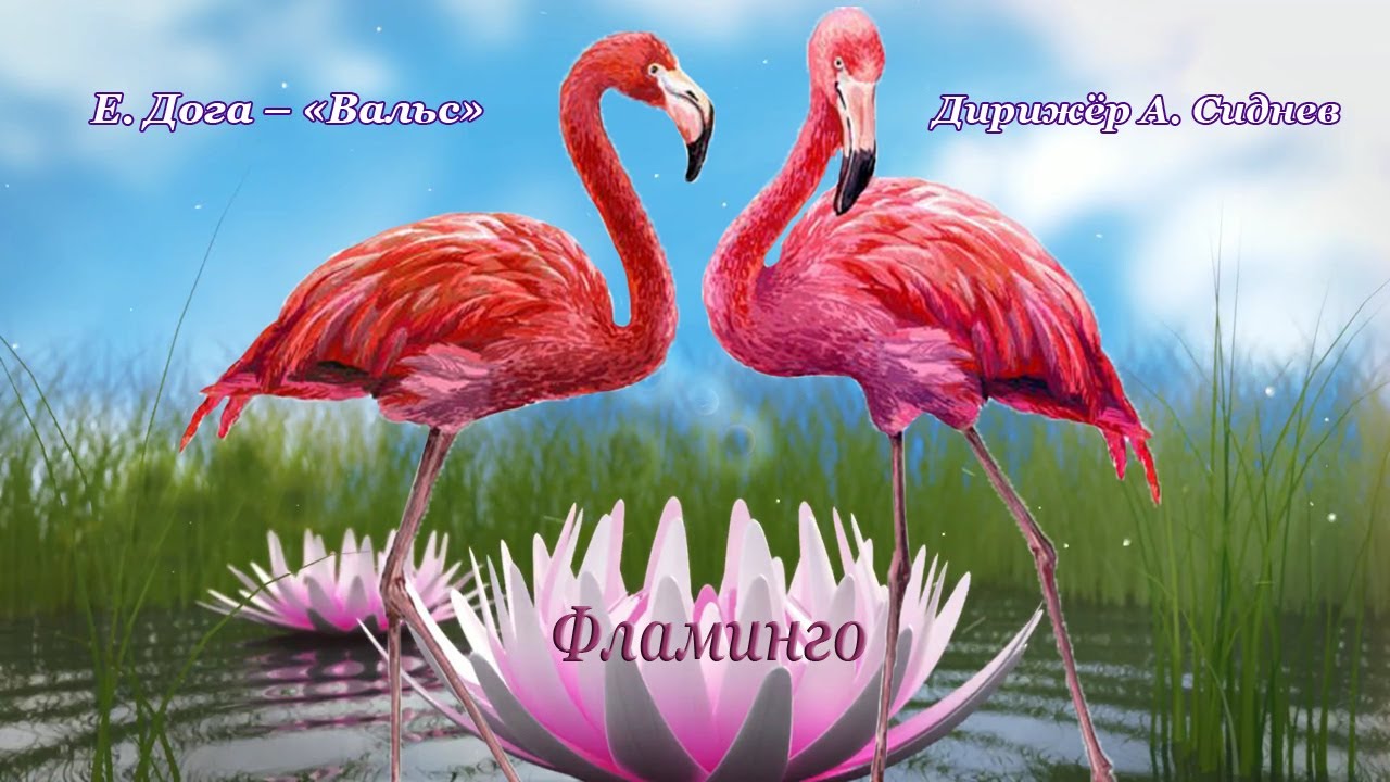 Е. Дога «Вальс», дирижёр А. Сиднев. Видеоклип «Фламинго» О. Лукиной смотреть онлайн