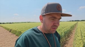 120ц пшеницы! Показательное хозяйство Хорш и Великобритании - P.X.Farms ltd. Техника HORSCH