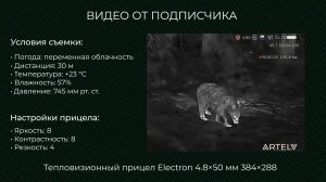 Тепловизор помог обнаружить медведя. Почему охотник не выстрелил?