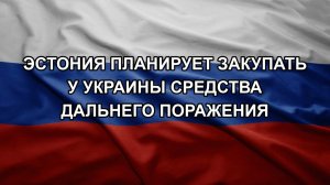 Эстония планирует закупать у Украины средства дальнего поражения
