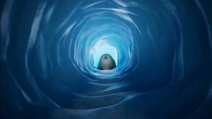 Дамы и господа, дети и тюлени перед вами выступает тюлень который поёт пещерную песню