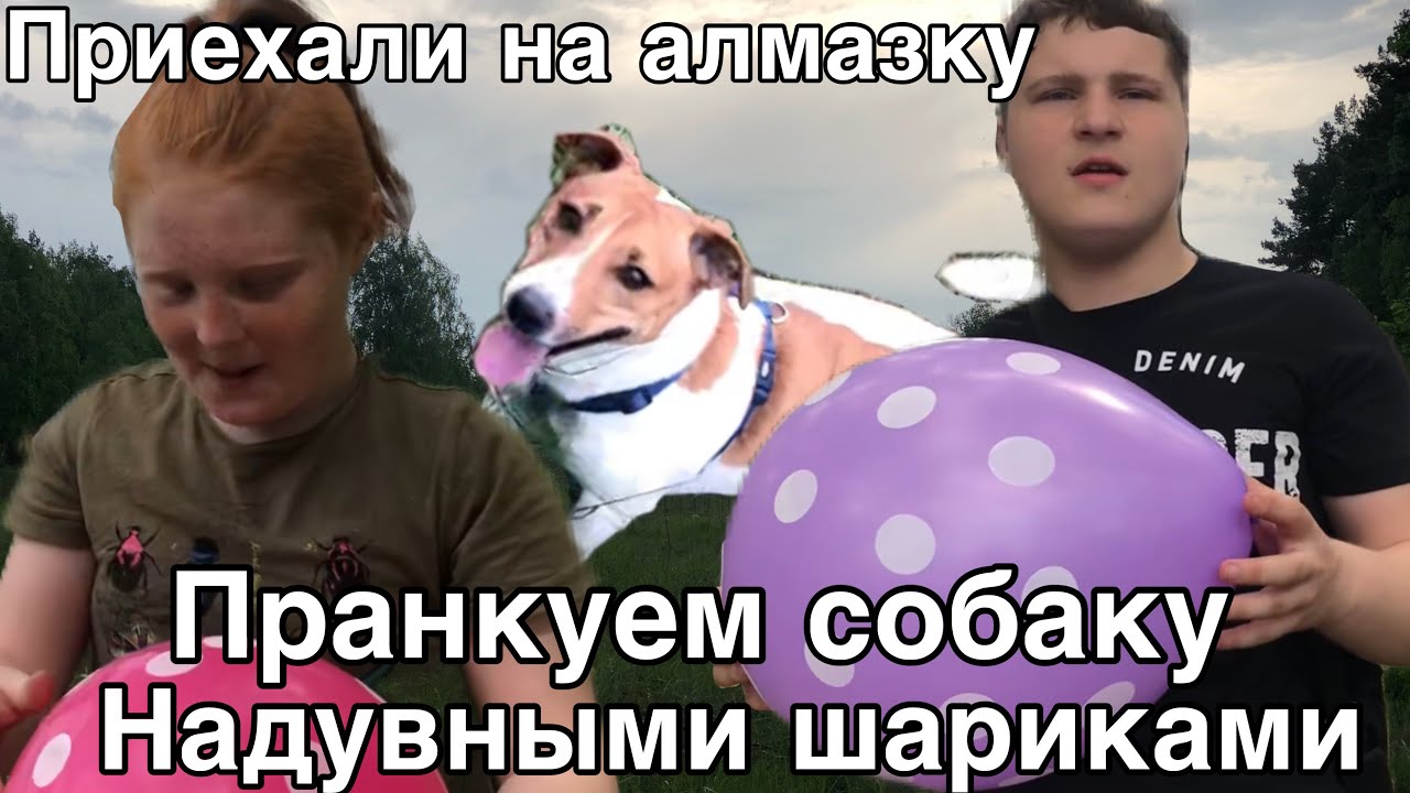 Приехали на алмазное озеро в солнечном лесу пранковать собаку надувными шариками! смотреть онлайн