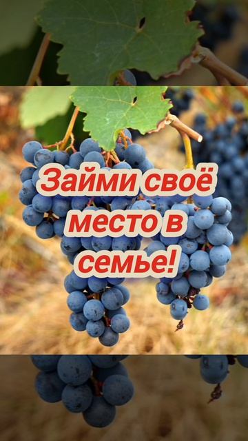 Займи своё место в семье.