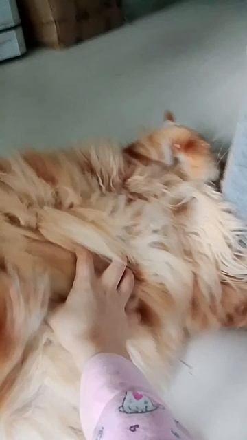 1000003095.mp4 смотреть онлайн
