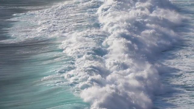 seagull and ocean# Чайка и океан 🗨 смотреть онлайн
