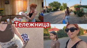 Семья из Мариуполя. В это не возможно поверить что делает кошка!!!😲
