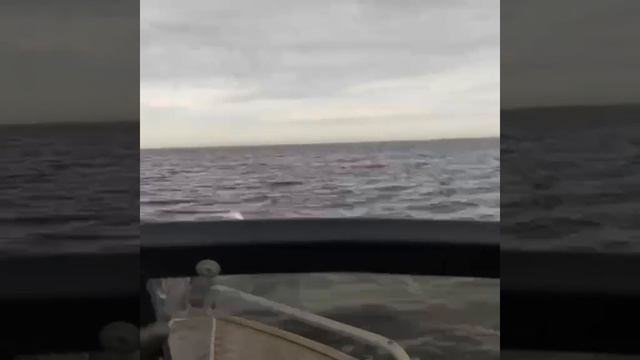 1000164767.mp4 смотреть онлайн