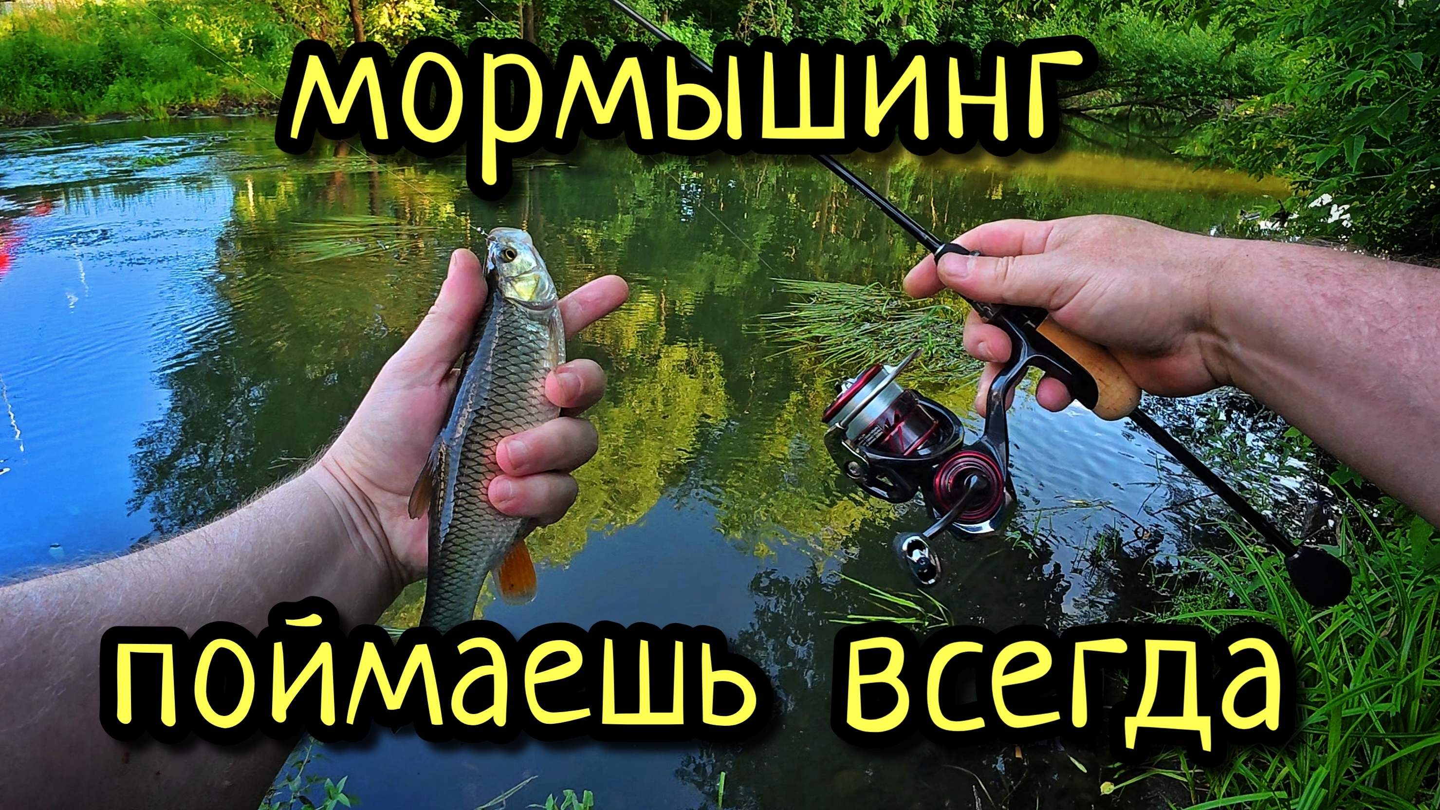 МОРМЫШИНГ, КАК ПОЙМАТЬ МНОГО РЫБЫ В ДВУХ ШАГАХ ОТ ДОМА !!! ГОЛАВЛЬ, ПЛОТВА, УКЛЕЙКА НА МОРМЫШИНГ !!! смотреть онлайн
