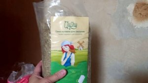 у нас появилось домашнее животное!