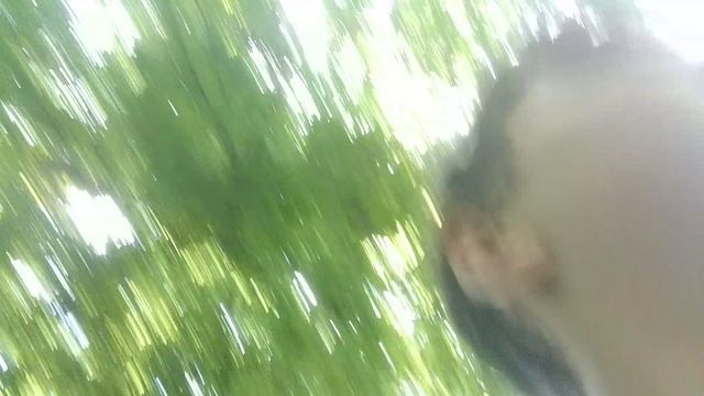 1 ЧАСТЬ ВЫЖИВАНИЕ В ЛЕСУ С ПАЦАНАМИ СТРОИМ ШАЛАШ