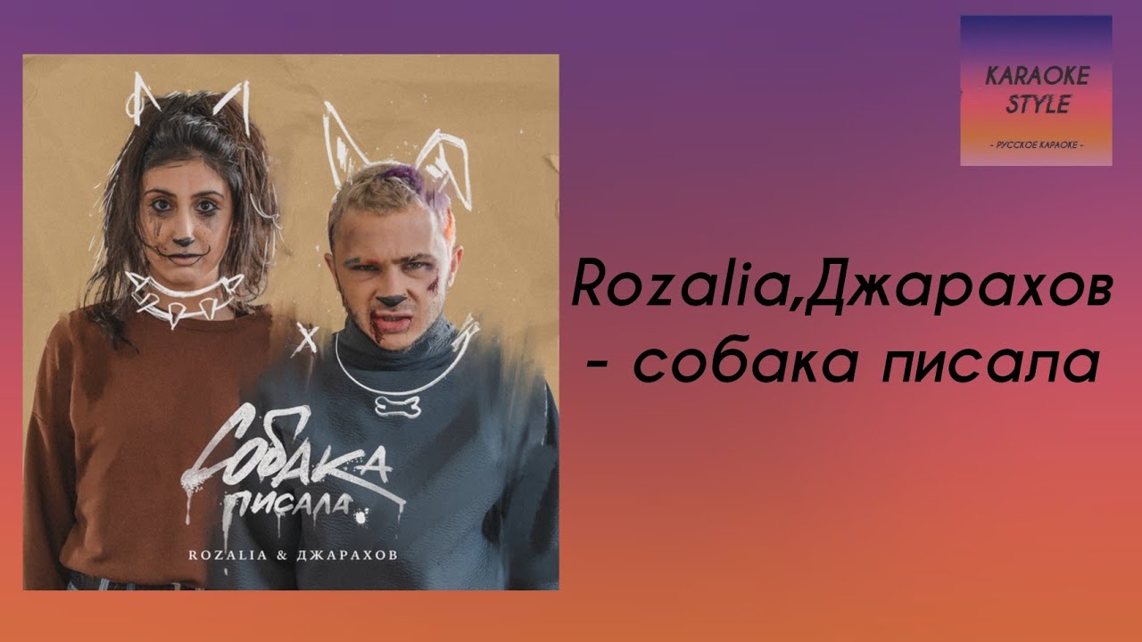 Rozalia,Джарахов - собака писала // KARAOKE STYLE смотреть онлайн
