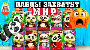 СВИТ БОКС 2026 С КИТАЙСКИМИ ПАНДАМИ!Распаковка Сюрпризов Sweet Box,Игрушки🔥