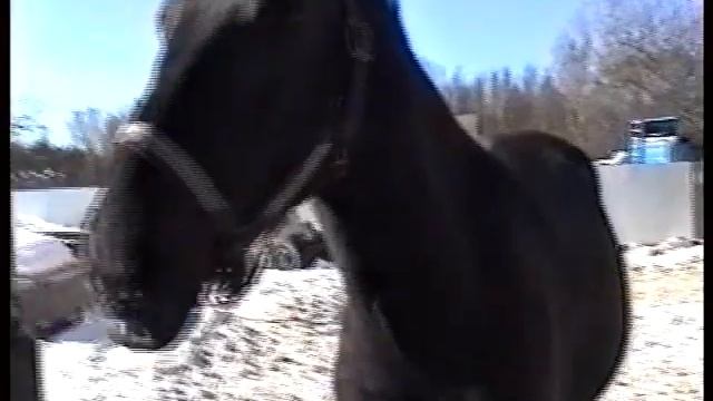 Детство Йоргоса. Бесюкалки. Мало места. март 2005 г смотреть онлайн