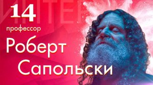 14) Human Behavioral Biology Limbic System 4 by Robert Sapolsky