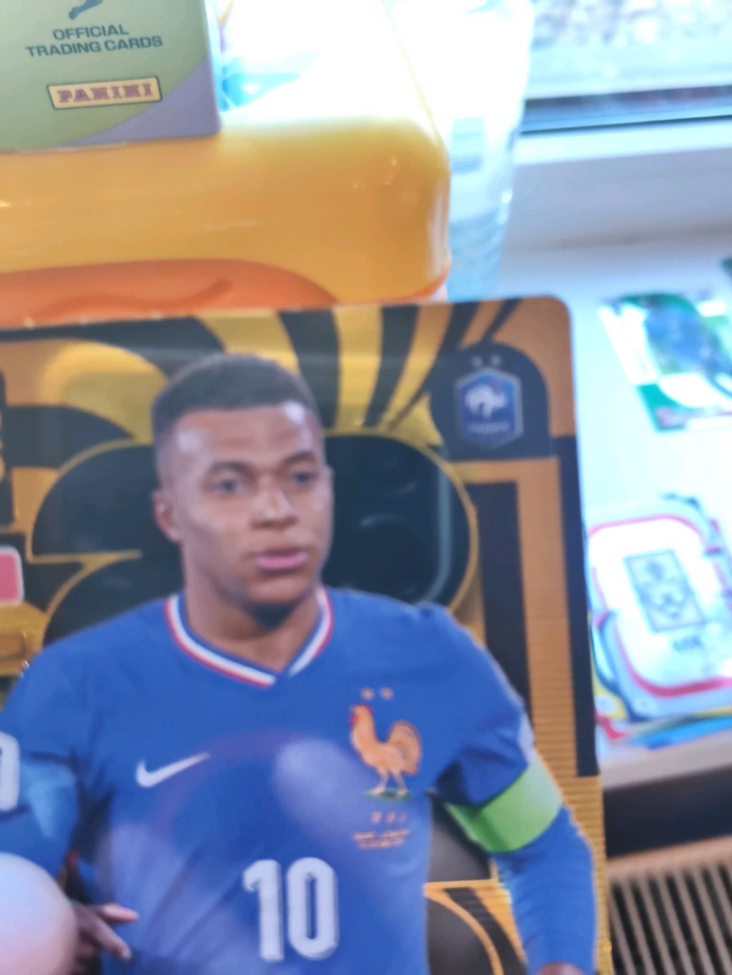 Panini