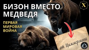 Бизон вместо медведя. Весна 1917г, медицина в Великая война ч.10