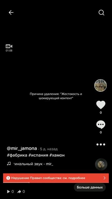 Сколько времени ТикТок рассматривает апелляцию по заблокированному видео смотреть онлайн