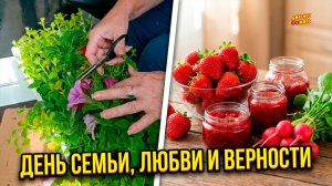 ОБРЕЗКА ПЕТУНИЙ / ПОСЫЛКА ОТ УЧИТЕЛЬНИЦЫ / С ДНЁМ СЕМЬИ,ЛЮБВИ И ВЕРНОСТИ