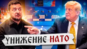НАТО, где деньги? Запад устал от Украины