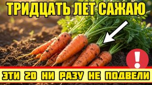 20 овощей, которые НЕВОЗМОЖНО загубить - даже если вы никогда не занимались садом!