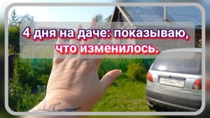 4 дня на даче: показываю, что изменилось.
