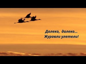 🔥🔥🔥Далеко, далеко...журавли улетели!🌟🌟🌟