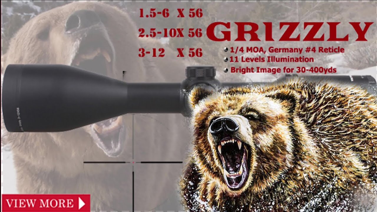 ОПТИЧЕСКИЙ ПРИЦЕЛ- Vector Optics- GRIZZLY PRO 3-12X56I- ОБЗОР И ПРИСТРЕЛКА смотреть онлайн