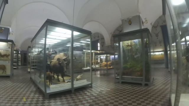 00_2026_03_10_Зоологический музей _ 3