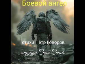 « Боевой ангел « Саня Саныч.